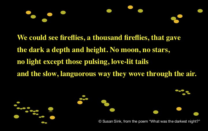 What was the Darkest Night? a “Light” poem by Susan Sink